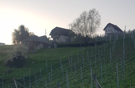 aktualno/20250411_2