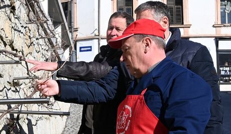 dogodki/330822483n_1