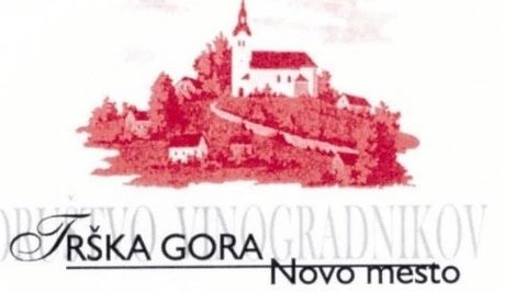 dogodki/logo-DVTG
